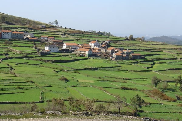 Foto 117 da atividade Galeria de Fotos