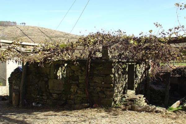 Foto 109 da atividade Galeria de Fotos