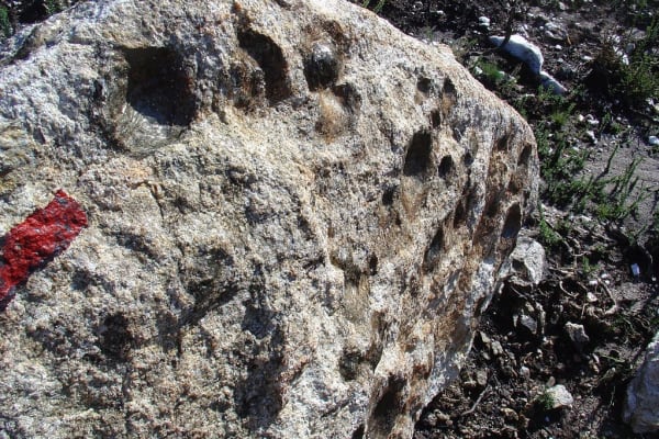 Foto 104 da atividade Galeria de Fotos