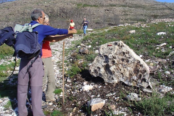 Foto 98 da atividade Galeria de Fotos