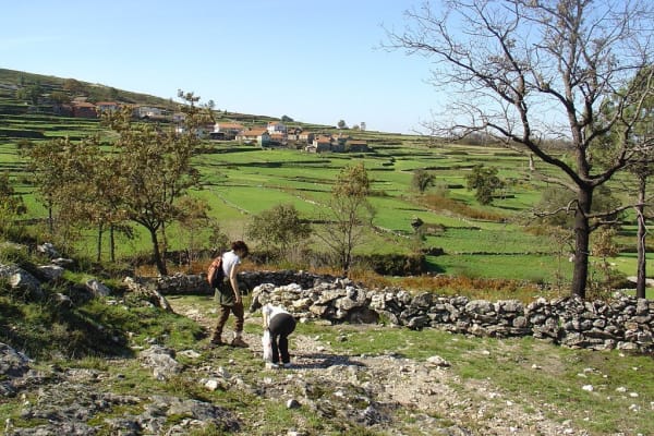 Foto 90 da atividade Galeria de Fotos