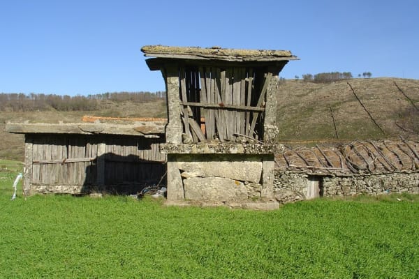 Foto 85 da atividade Galeria de Fotos