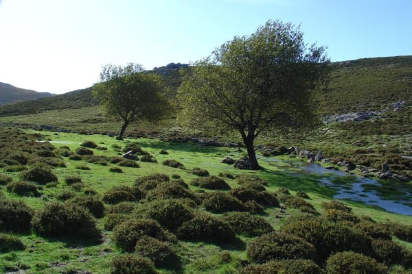 Foto 82 da atividade Galeria de Fotos