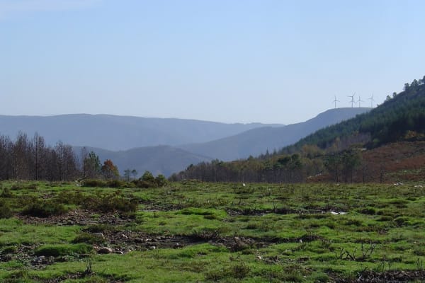 Foto 79 da atividade Galeria de Fotos