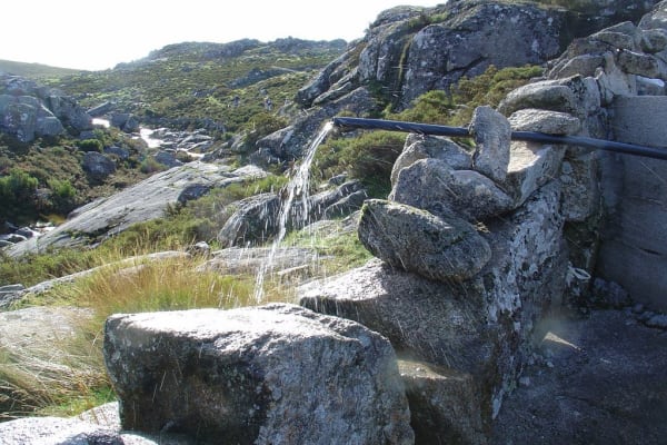 Foto 68 da atividade Galeria de Fotos