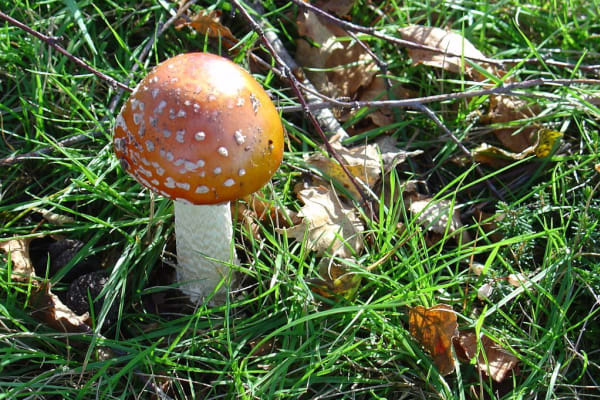 Foto 66 da atividade Galeria de Fotos