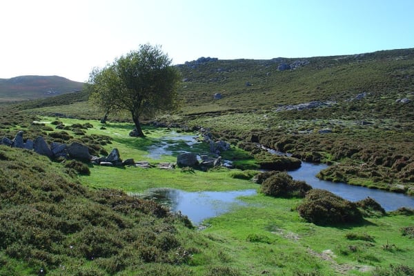 Foto 55 da atividade Galeria de Fotos