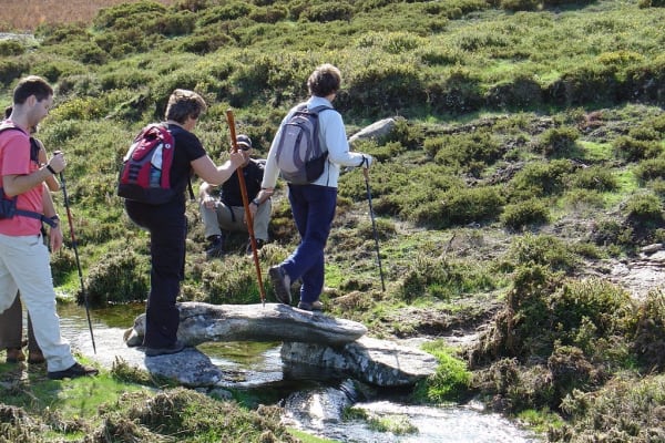 Foto 46 da atividade Galeria de Fotos