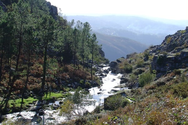 Foto 47 da atividade Galeria de Fotos