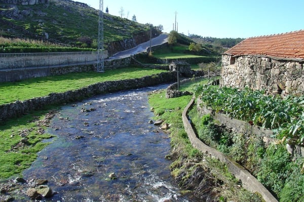 Foto 8 da atividade Galeria de Fotos