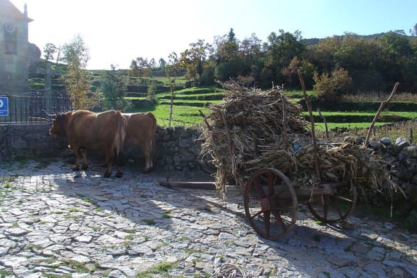 Foto 3 da atividade Galeria de Fotos