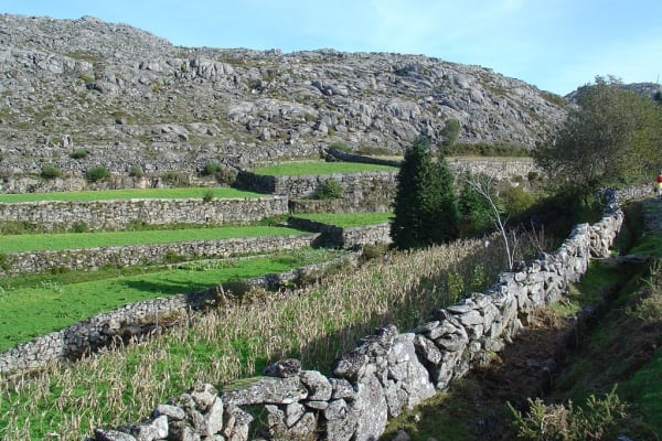 Foto 1 da atividade Galeria de Fotos