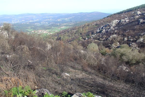 Foto 59 da atividade Galeria de Fotos