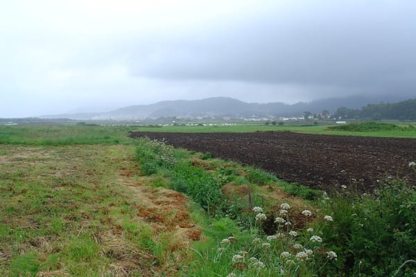 Foto 165 da atividade Galeria de Fotos