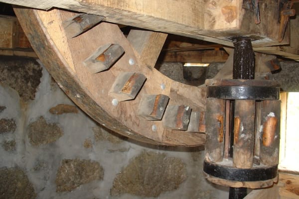 Foto 115 da atividade Galeria de Fotos