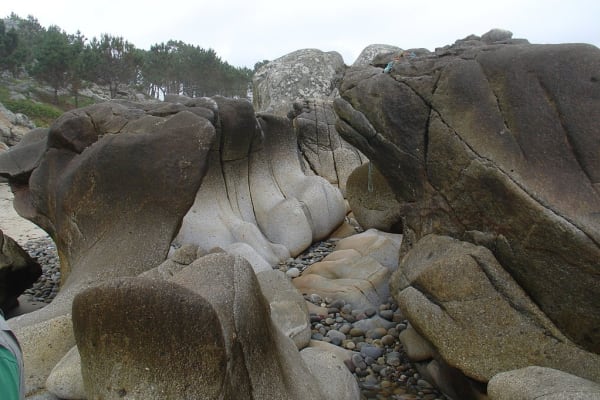 Foto 104 da atividade Galeria de Fotos