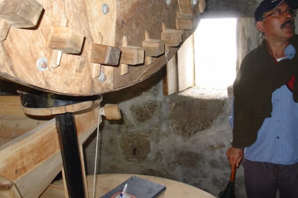 Foto 79 da atividade Galeria de Fotos