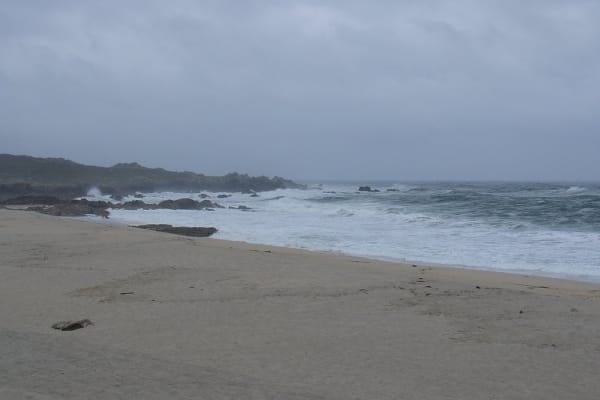 Foto 45 da atividade Galeria de Fotos