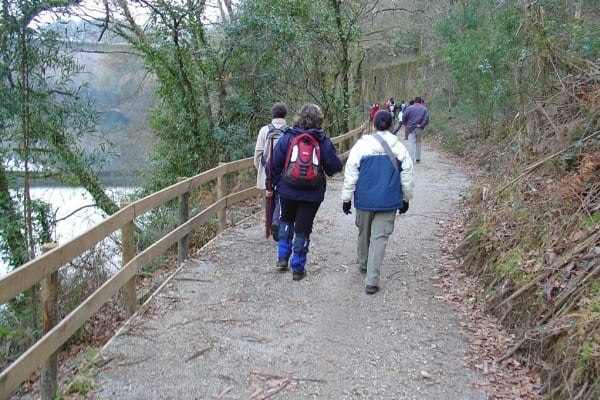 Foto 131 da atividade Galeria de Fotos