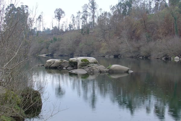 Foto 123 da atividade Galeria de Fotos