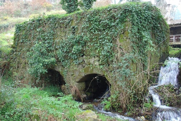 Foto 104 da atividade Galeria de Fotos