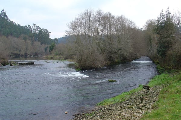 Foto 74 da atividade Galeria de Fotos