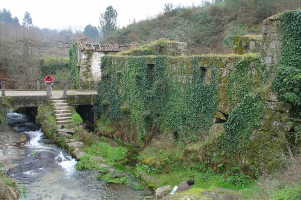 Foto 65 da atividade Galeria de Fotos