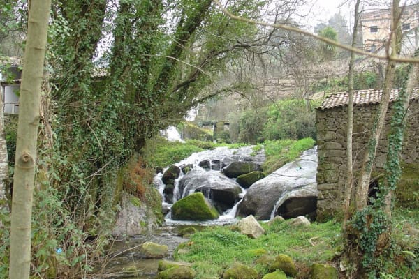 Foto 43 da atividade Galeria de Fotos