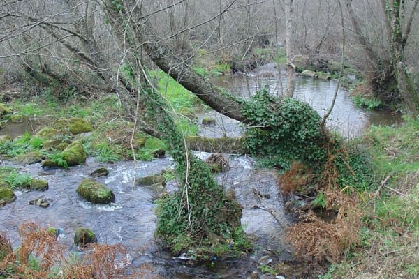 Foto 30 da atividade Galeria de Fotos