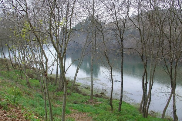 Foto 20 da atividade Galeria de Fotos