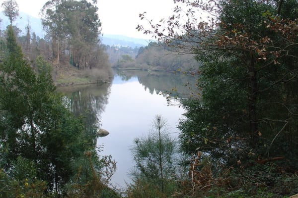 Foto 12 da atividade Galeria de Fotos