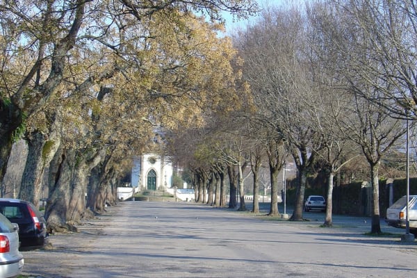 Foto 11 da atividade Galeria de Fotos