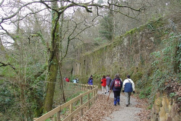 Foto 7 da atividade Galeria de Fotos