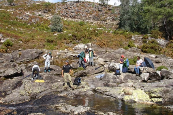 Foto 48 da atividade Galeria de Fotos