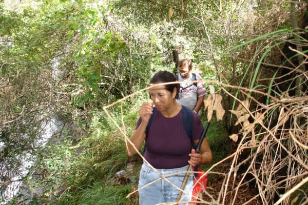 Foto 34 da atividade Galeria de Fotos