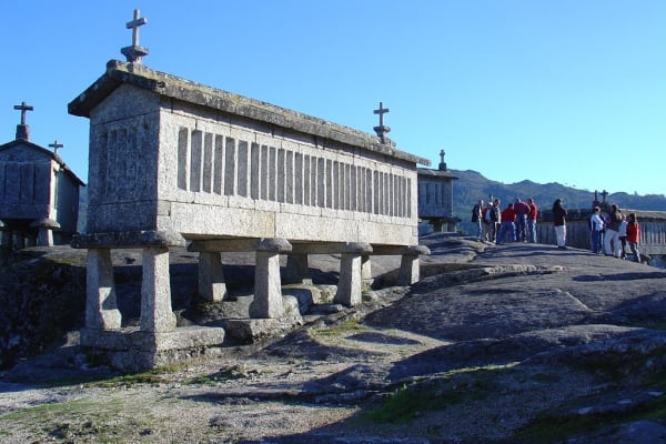 Foto 141 da atividade Galeria de Fotos