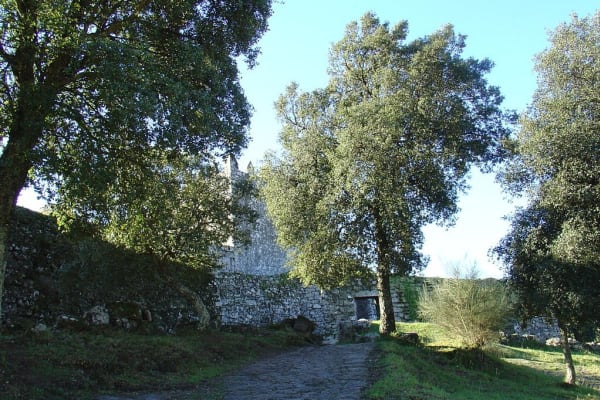 Foto 133 da atividade Galeria de Fotos