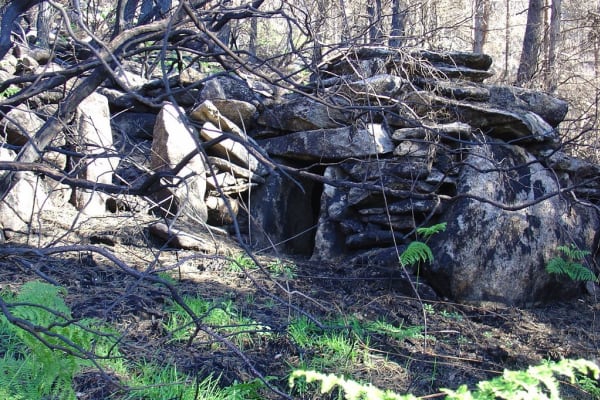 Foto 86 da atividade Galeria de Fotos