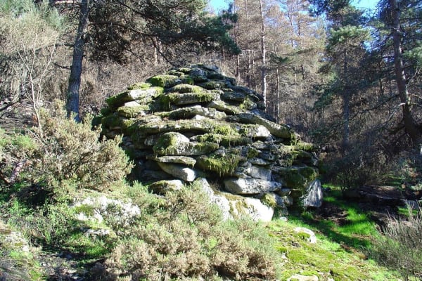 Foto 29 da atividade Galeria de Fotos