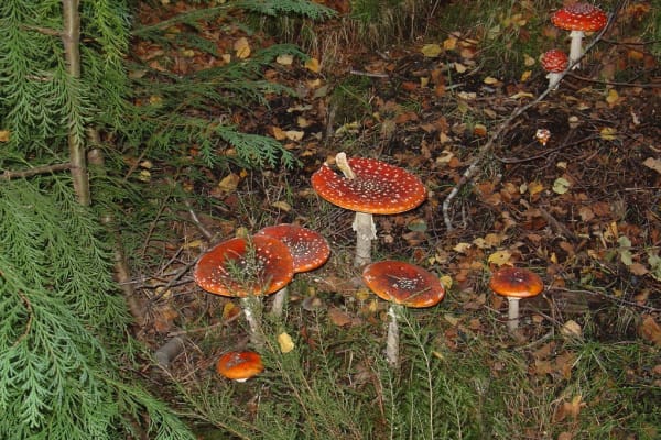 Foto 14 da atividade Galeria de Fotos