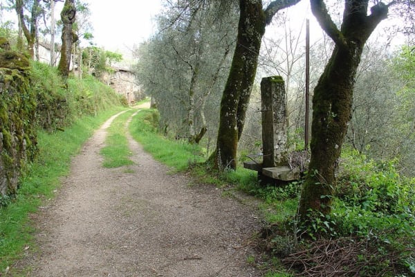 Foto 83 da atividade Galeria de Fotos