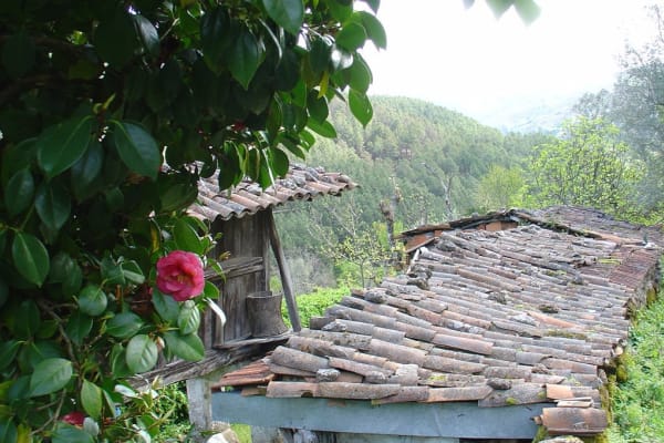 Foto 50 da atividade Galeria de Fotos