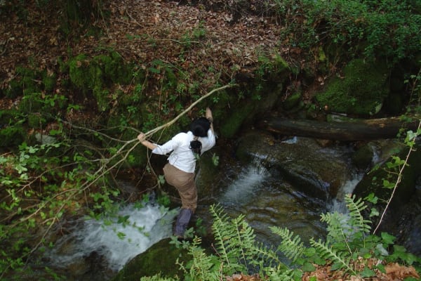 Foto 38 da atividade Galeria de Fotos