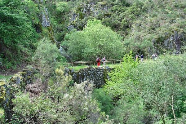 Foto 23 da atividade Galeria de Fotos