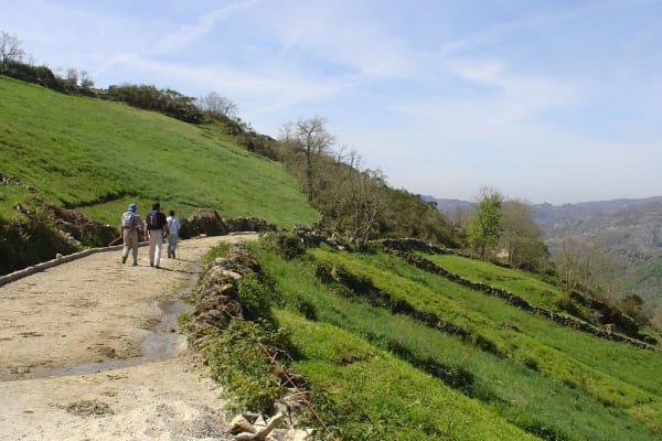 Foto 116 da atividade Galeria de Fotos