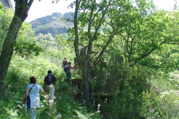 Foto 115 da atividade Galeria de Fotos