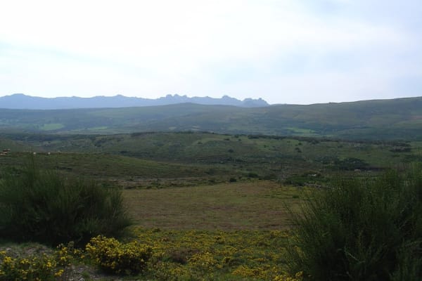 Foto 91 da atividade Galeria de Fotos