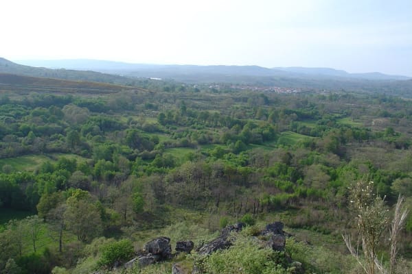 Foto 89 da atividade Galeria de Fotos