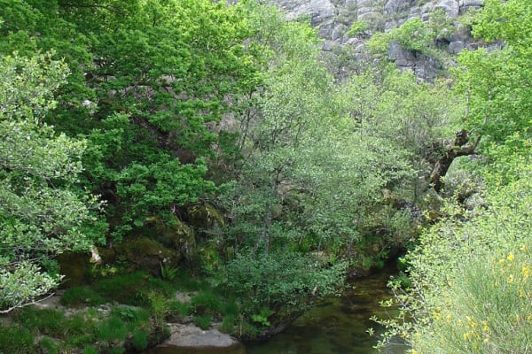 Foto 83 da atividade Galeria de Fotos