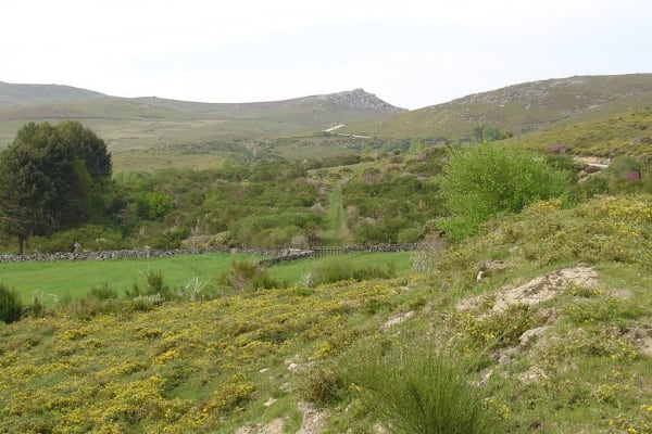 Foto 79 da atividade Galeria de Fotos